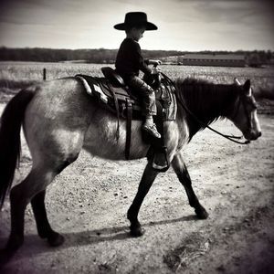 Meet your Posher, Dusty